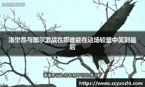 星空官网